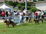 canto-della-bella-galliana-e-pedro-ambra-selvaggia