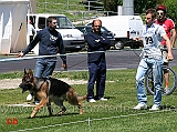 cuccioloni-maschi-indio-di-casa-nobili