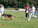 giovani-maschi-thiago-delle-tamerici-salmastre