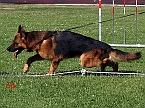 indio-degli-iapigi-02