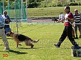 juniores-femmine-brenda-dei-lupi-della-maddalena