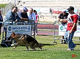 juniores-maschi-hogan-v-maikhus