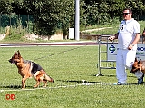 lavoro-femmine-vicky-di-casa-ardigo