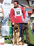 siria-dei-verdi-colli-3mb-giovani-femmine