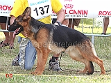 cleo-8-cucciolone-femmine-