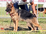 etna-dell-appio-4MP-juniores-femmine