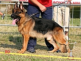 falko-5Ecc-lavoro-maschi-