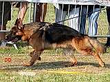 faust-di-casa-beggiato-02