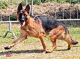 yago-di-croce-santo-spirito-04
