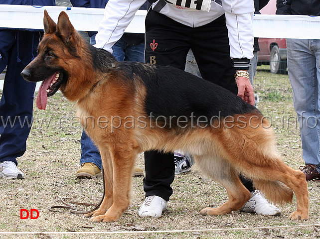 arro-02.jpg - Arro 2 MB Giovanissimi maschi 