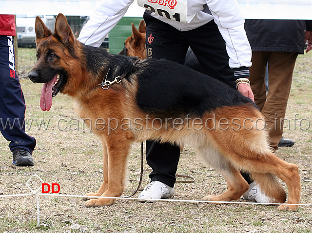 arro-03.jpg - Arro 2 MB Giovanissimi maschi 