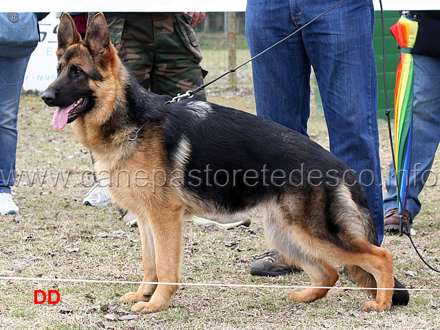 asia-1mp-juniores-femmine.jpg - Asia 1 MP Juniores femmine