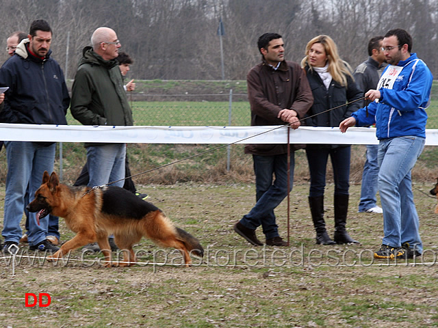 cucciolone-femmine-bolla-del-rione-antico-.jpg - Bolla del Rione Antico 