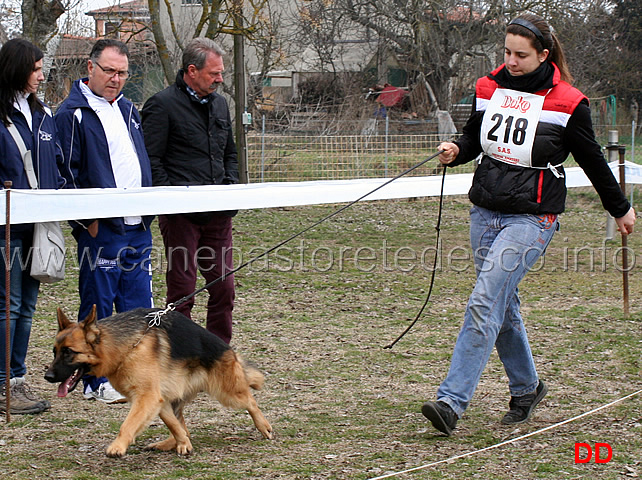 cucciolone-femmine-flay-della-valle-dei-rovi.jpg - Cucciolone femmine Flay della Valle dei Rovi 