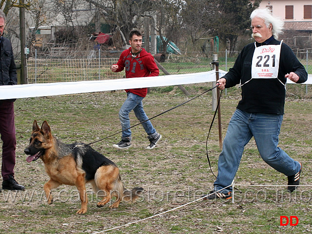 cucciolone-femmine-kerry-dell-ambra-selvaggia.jpg - Cucciolone femmine Kerry dell'Ambra Selvaggia 