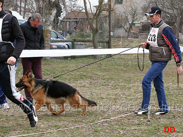 cucciolone-femmine-quendi.jpg - Cucciolone femmine Quendi 