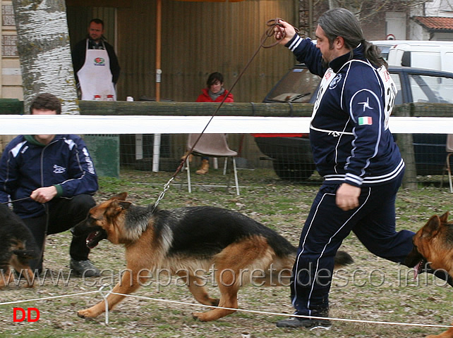 flo-della-valle-dei-rovi-03.jpg - Flo della Valle dei Rovi 