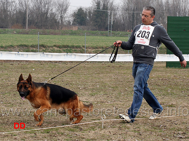 giovanissimi-dillinger-di-xara.jpg - Giovanissimi maschi Dillinger di Xara 