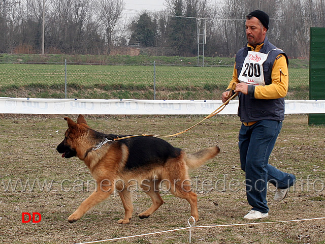 giovanissimi-maschi-agor.jpg - Giovanissimi maschi Agor 