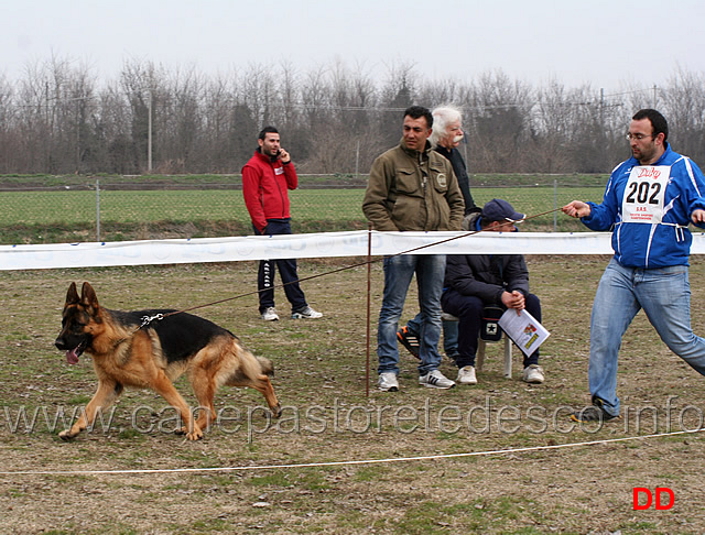 giovanissimi-maschi-blackhof-valentinientis.jpg - Giovanissimi maschi Blackhof Valentinientis