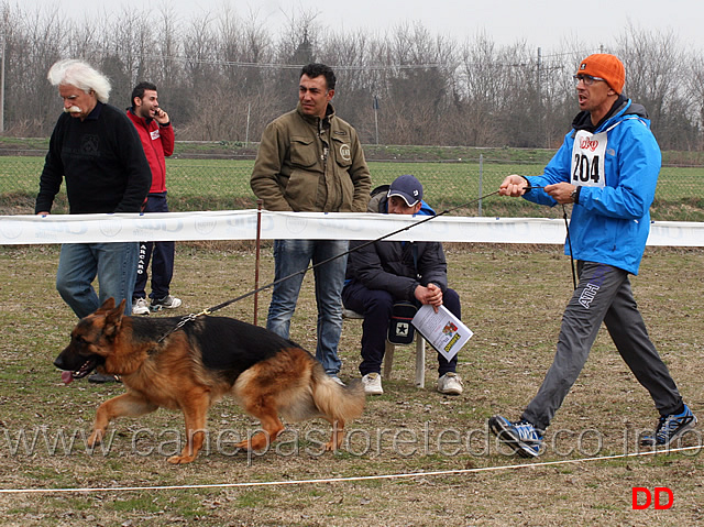 giovanissimi-maschi-fox-di-casa-montello.jpg - Giovanissimi maschi Fox di Casa Montello 