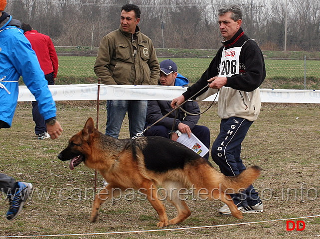 giovanissimi-maschi-uran-del-caiatino.jpg - Giovanissimi maschi Uran del Caiatino 