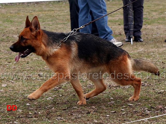 ilona-del-catone.jpg - Ilona del Catone 