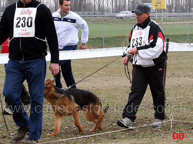 juniores-femmine-milly-del-catone.jpg - Juniores Femmine Milly del Catone