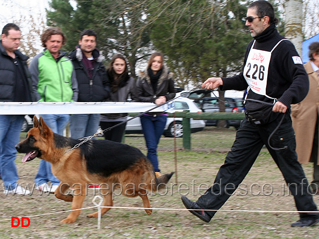 juniores-maschi-pako-della-madama-d-austria.jpg - Juniores maschi Pako della Madama d'Austria