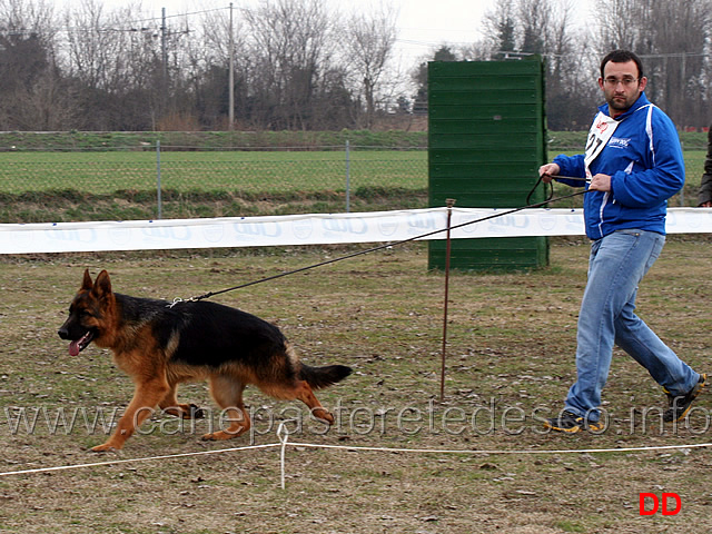 juniores-maschi-quasar-della-madama-d-austria.jpg - Juniores maschi Quasar della Madama d'Austria 