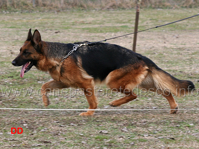 karma-del-samengio-02.jpg - Lavoro femmine 1 Ecc Karma del Samengio 