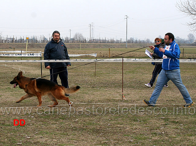 lavoro-maschi-zerxis-osterberger-land.jpg - Lavoro maschi Zerxis Osterberger Land