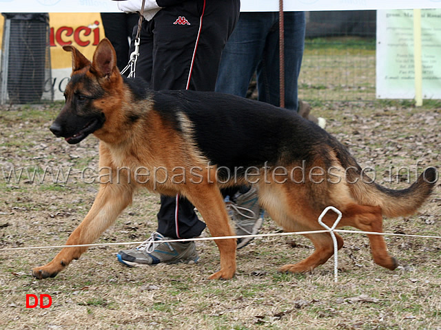milly-del-catone.jpg - Milly del Catone
