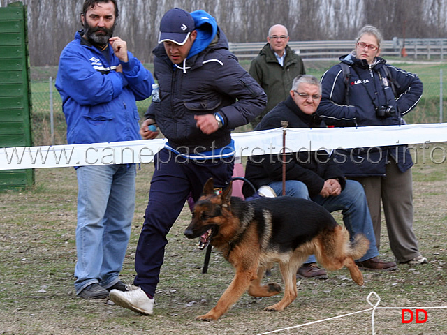 zago-del-timius.jpg - Zago del Timius al fuss 