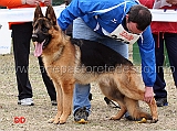 blackhof-valentinientis-1mb-giovanissimi