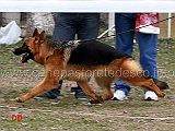 bolla-del-rione-antico-05