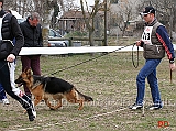 cucciolone-femmine-quendi