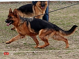 extra-dei-colli-storici-02
