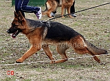 follie-di-croce-santo-spirito-03