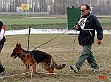 juniores-femmine-gloria-di-croce-santo-spirito