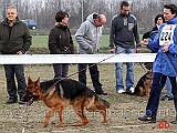 juniores-maschi-boss-dell-antico-feudo