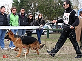 juniores-maschi-pako-della-madama-d-austria