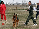 lavoro-maschi-gim-di-casa-mary