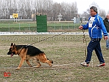 lavoro-maschi-gordon-dei-colli-di-uzzano