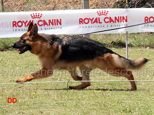 alex-della-valle-d-itria-03-.jpg - Alex della Valle d'Itria 
