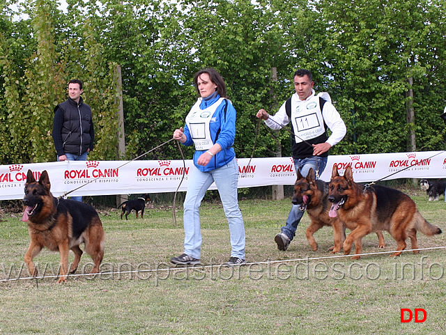 amigo-elzmundungsraum-zago-del-timius-quan-goldenen-strand.jpg -  Amigo Elzmundungsraum, Zago del Timius, Quan v Goldenen Strand