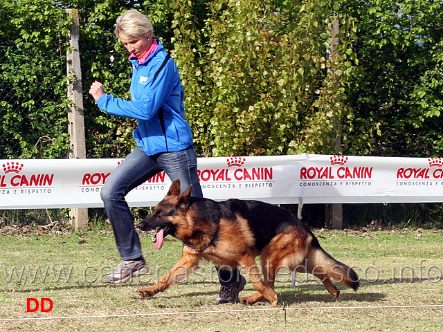 amigo-elzmundungsraum.jpg - Amigo v Elzmundungsraum con Brigitte al fuss