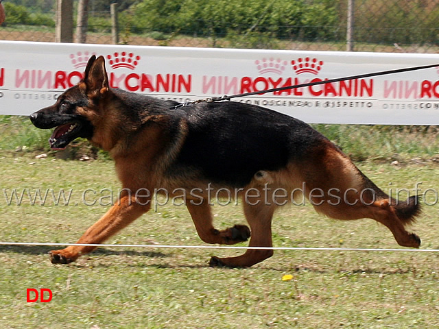 arko-della-grande-valle-04.jpg - Arko della Grande Valle 