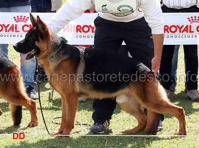 arko-della-grande-valle-5mb-giovanissimi-maschi.jpg - Arko della Grande Valle 5 MB Giovanissimi maschi 