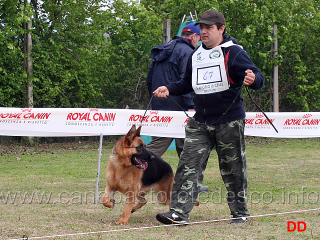 giovanissime-femmine-mina-team-torretta.jpg - Giovanissime femmine Mina Team Torretta